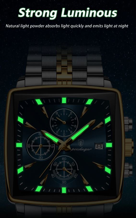 POEDAGAR 866 Men’s Luxury Stainless Steel Watch