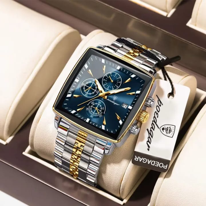 POEDAGAR 866 Men’s Luxury Stainless Steel Watch