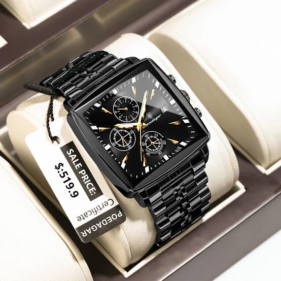 POEDAGAR 866 Men’s Luxury Stainless Steel Watch
