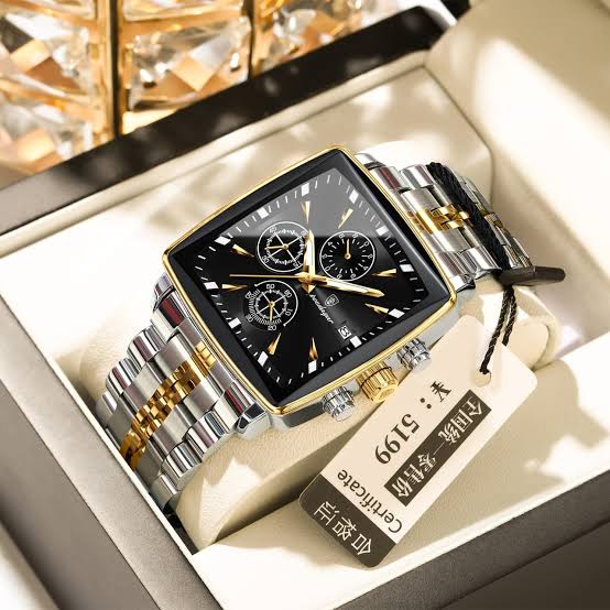 POEDAGAR 866 Men’s Luxury Stainless Steel Watch