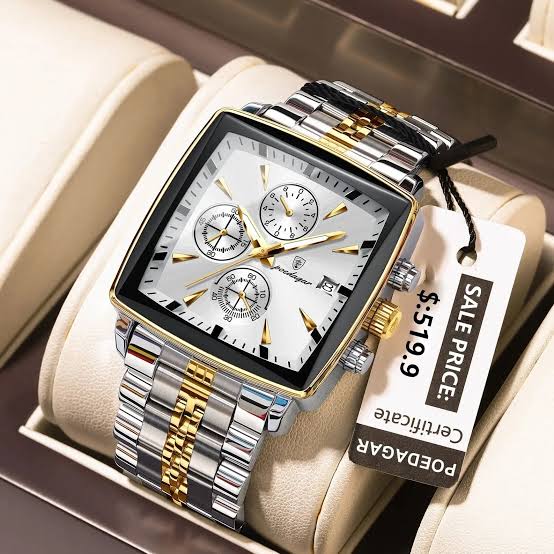 POEDAGAR 866 Men’s Luxury Stainless Steel Watch