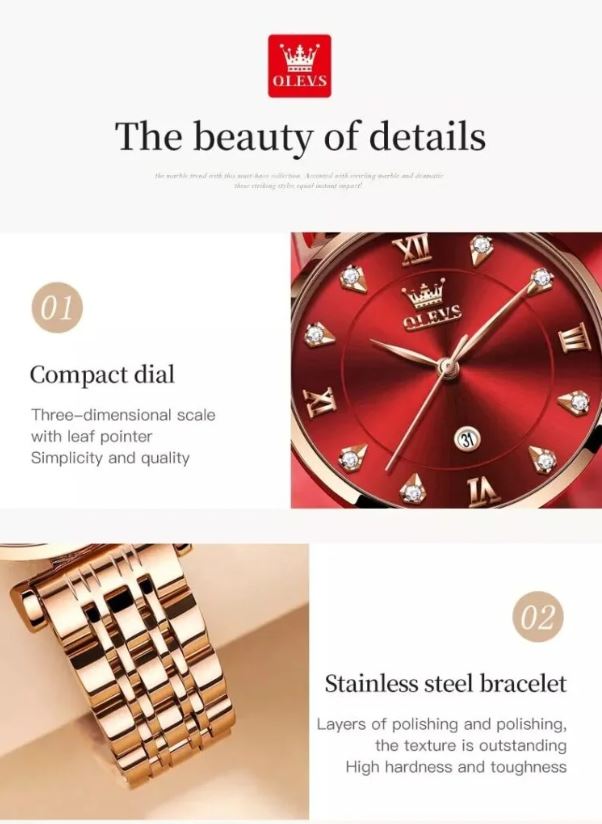 OLEVS 5866 Watch in Original Packaging